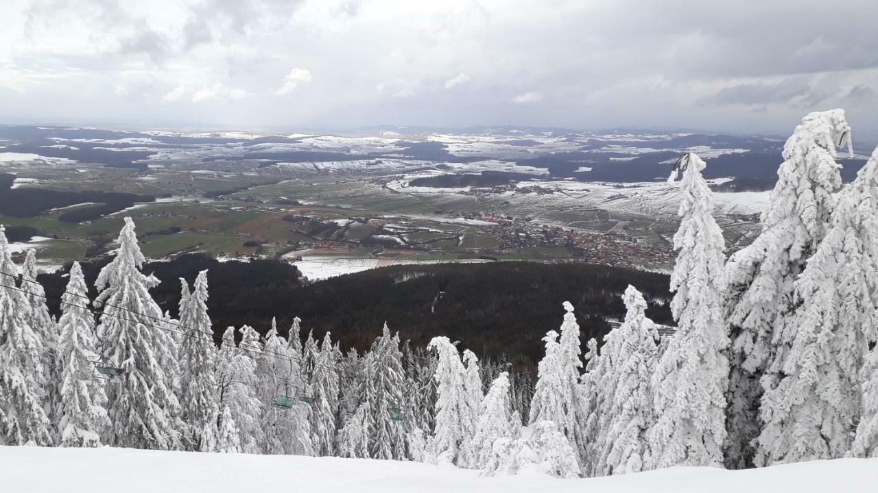 Ubytovani Ronsperk Pobezovice Buitenkant foto